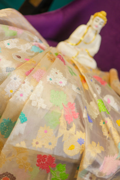 The RoyalPure Banarasi Designer Handloom Tissue Saree